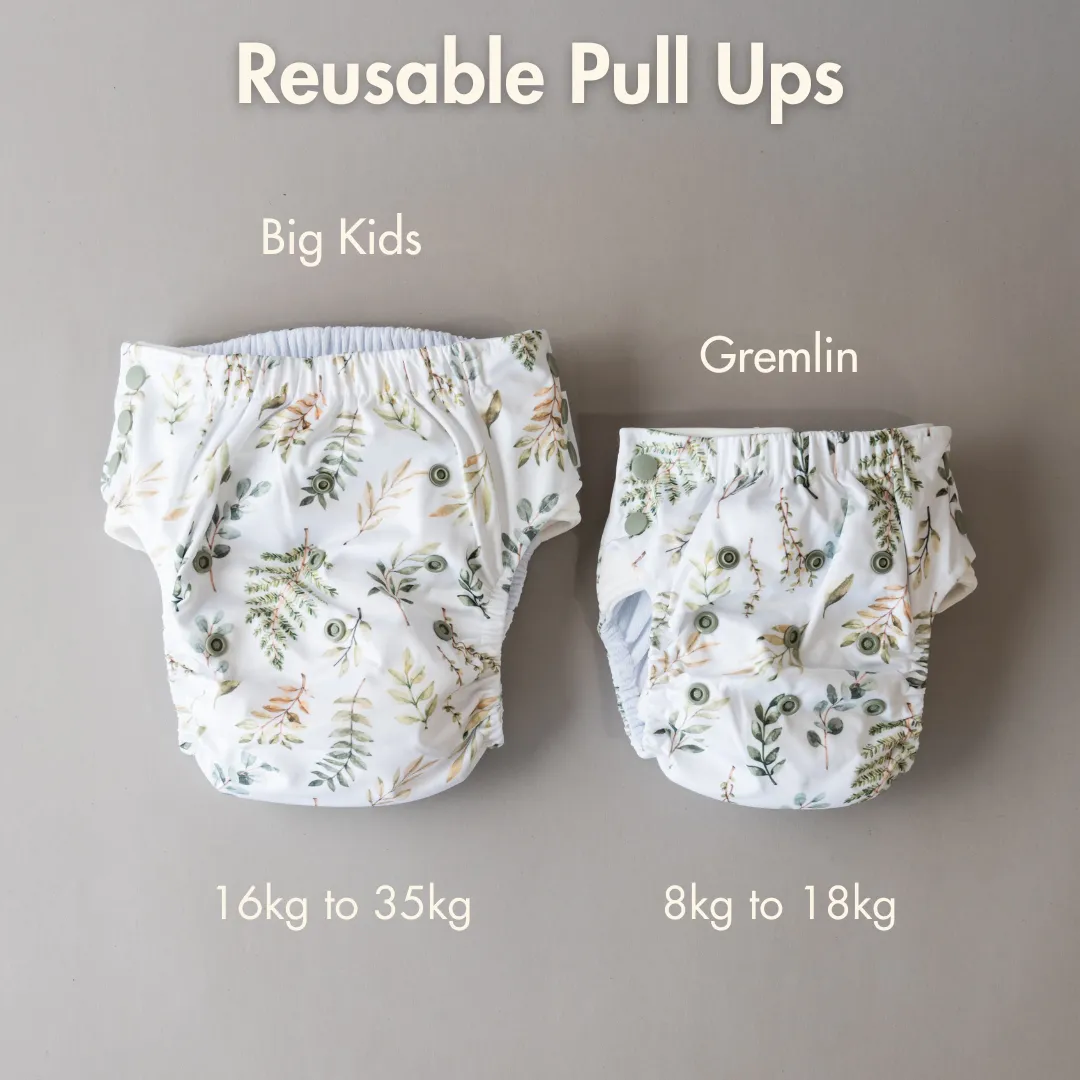 Big Kids Pull Up Reusable Nappy - Colours of the Wind