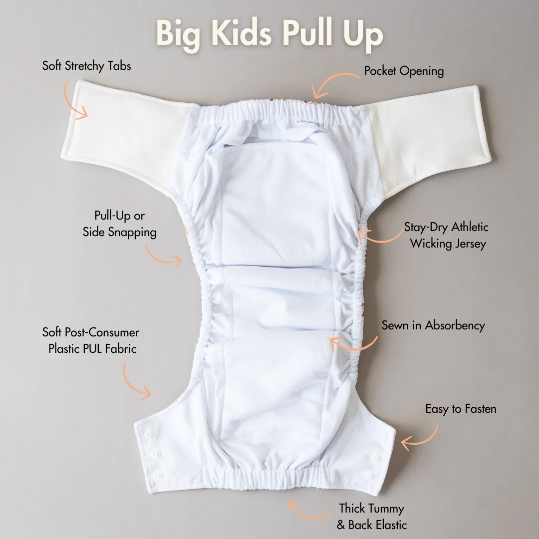 Big Kids Pull Up Reusable Nappy - Colours of the Wind