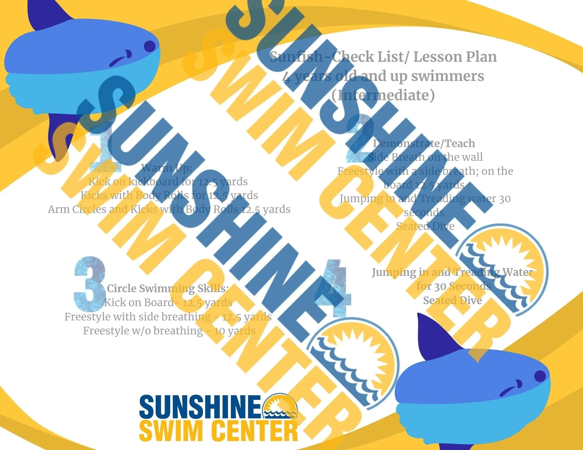 Teach Intermediate Swim Lessons- Side Breathing Level 1